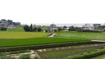 野島蟇浦地区6.jpg