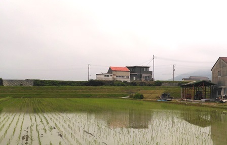 鮎屋地区11.jpg