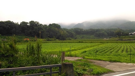 鮎屋地区6.jpg
