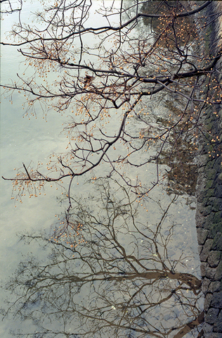 20100324img058.jpg