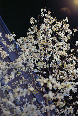 20100324img074.jpg