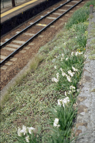 20100324img080.jpg