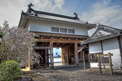 掛川城大手門(その３)