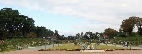 11-1敷島公園.jpg