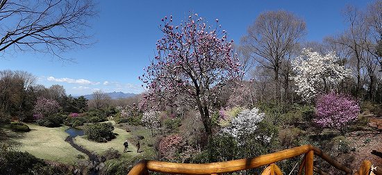 12榛名山-見晴らし台.jpg