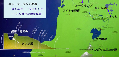 12ﾛﾄﾙｱMap.jpg
