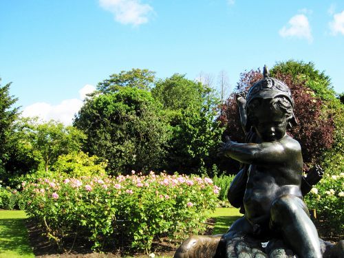 12Rose garden17.jpg