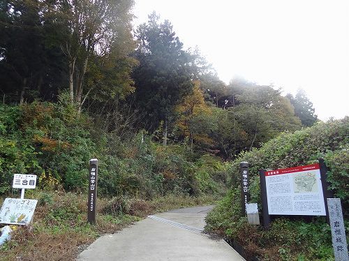 21-21岩櫃下山道sony_01.jpg