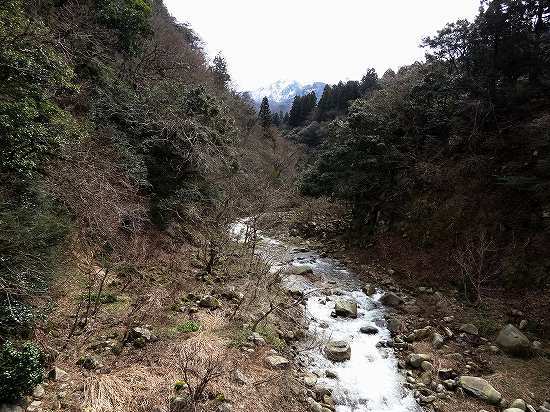 21五頭里山_04.jpg