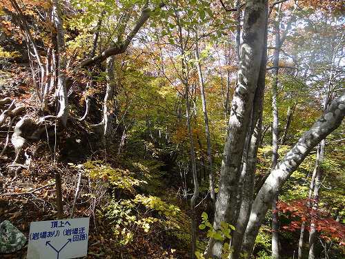 22-13岩櫃登山道.jpg