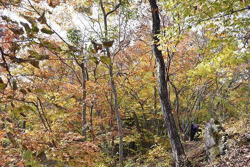 22-15岩櫃登山道.jpg