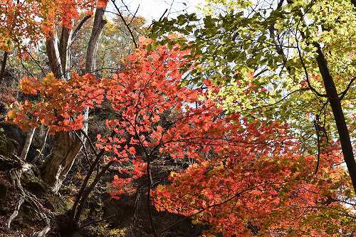 22-20岩櫃登山道.jpg