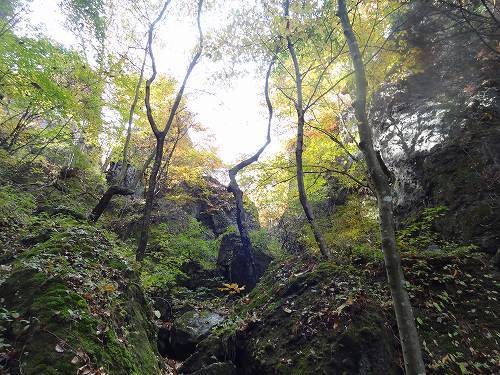 22-25岩櫃登山道.jpg