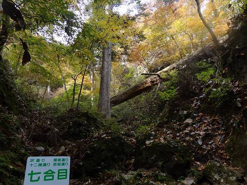 22-27岩櫃登山道.jpg