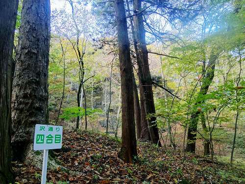 22-45岩櫃下山道.jpg