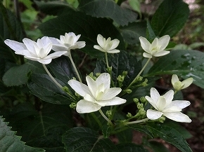 28城ヶ崎21.jpg