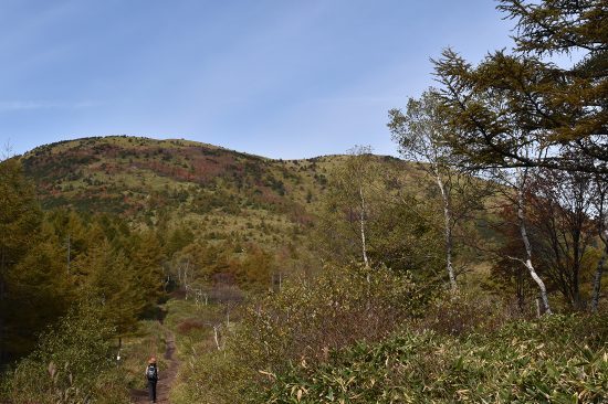 32湯の丸山N11.jpg