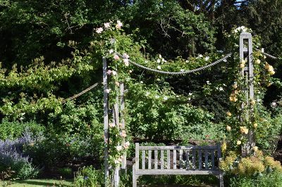 33Rose garden12.jpg