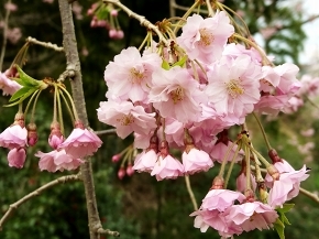 34宝積寺18.jpg