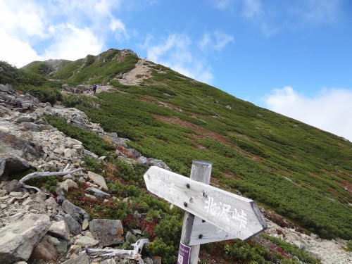 36-1仙丈小屋分岐_01.JPG