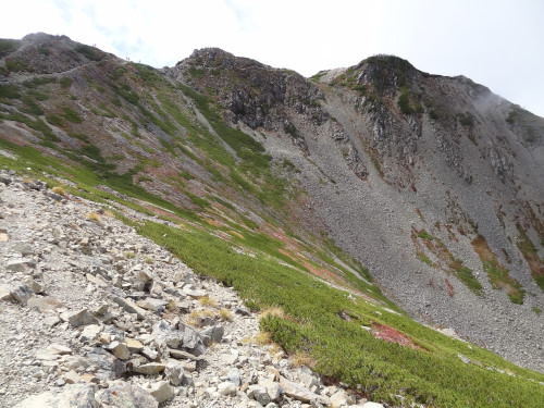 36-4仙丈ヶ岳山頂_01.JPG