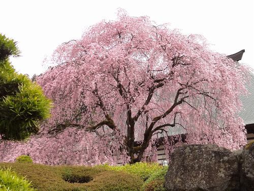36宝積寺20.jpg