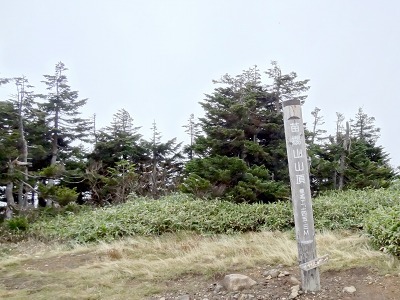 55山頂.jpg