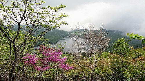 55駒ヶ岳山頂.jpg