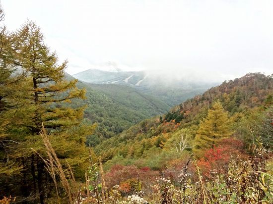72-3湯の丸山方面.jpg