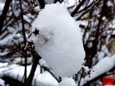 98雪の華.jpg