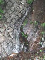 庚申川の湧き水