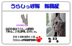 urashippo-no.33-puru-771ff.jpg