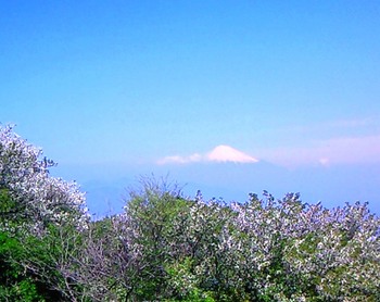 富士山