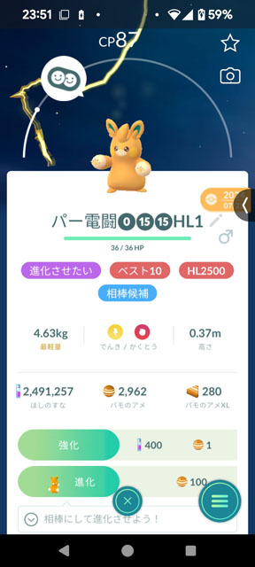 パモット.jpg