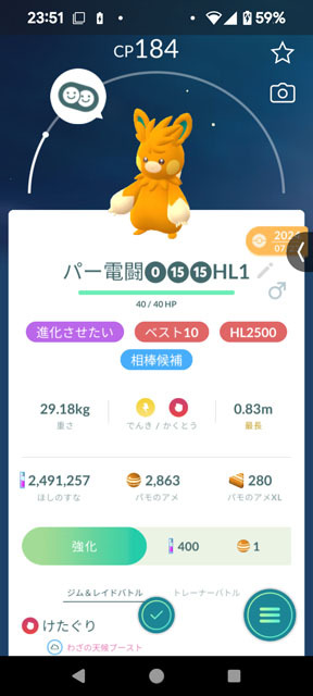 パーモット.jpg