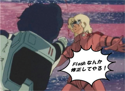 repair_flash_z.jpg