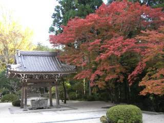 正眼寺