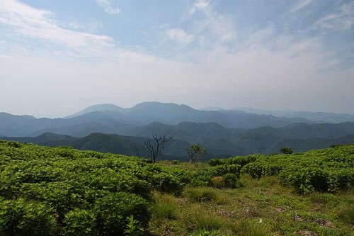 霊仙山から御池岳