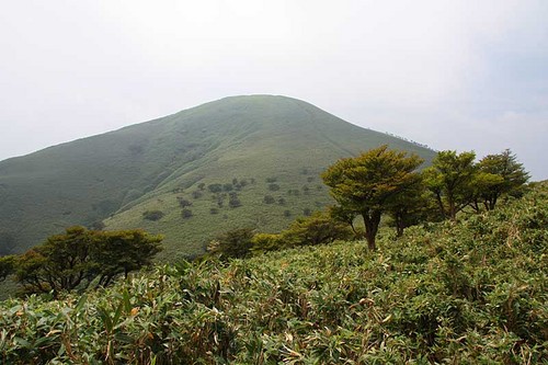 竜ヶ岳