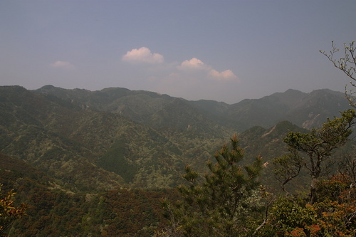 御所平と仙ヶ岳