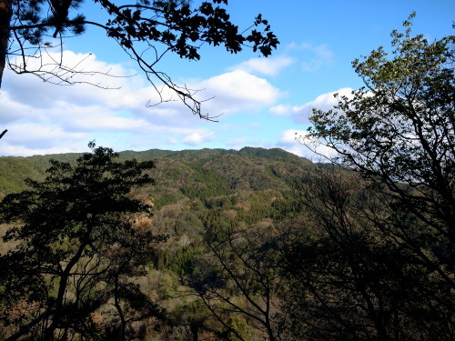 猿投山　広沢川西尾根