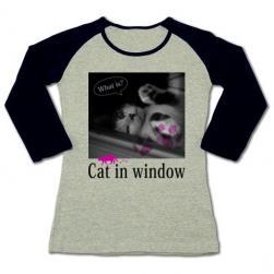 cat_window_34_grayblack.jpg