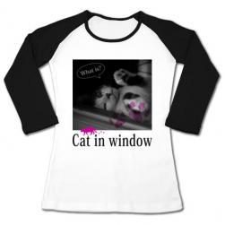 cat_window_34_wblack.jpg