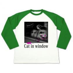 cat_window_longrag_green.jpg