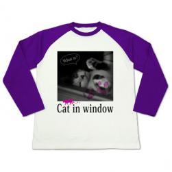 cat_window_longrag_purple.jpg
