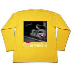 cat_window_longt_dasy_u.jpg