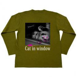 cat_window_longt_olive_u.jpg