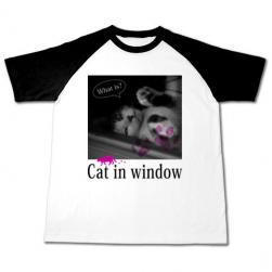 cat_window_rag_black.jpg