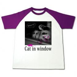 cat_window_rag_purle.jpg