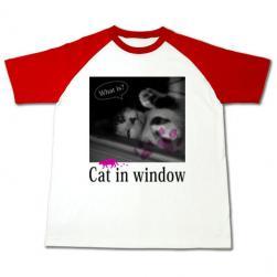 cat_window_rag_red.jpg